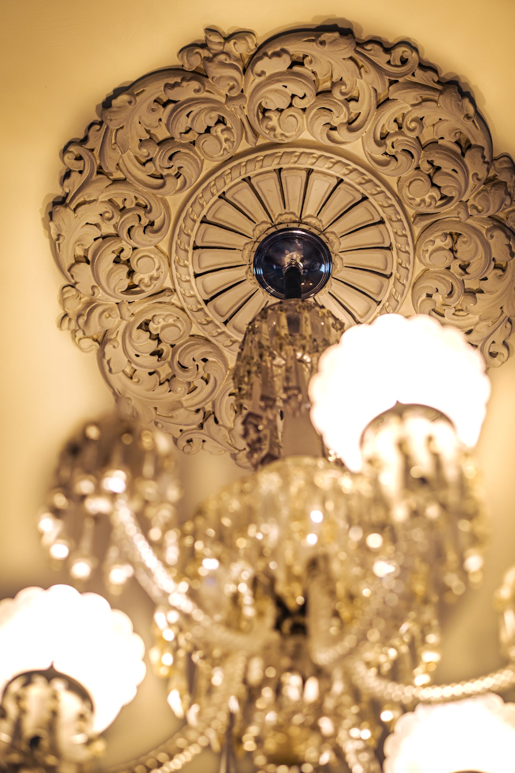 rotch jones duff house 