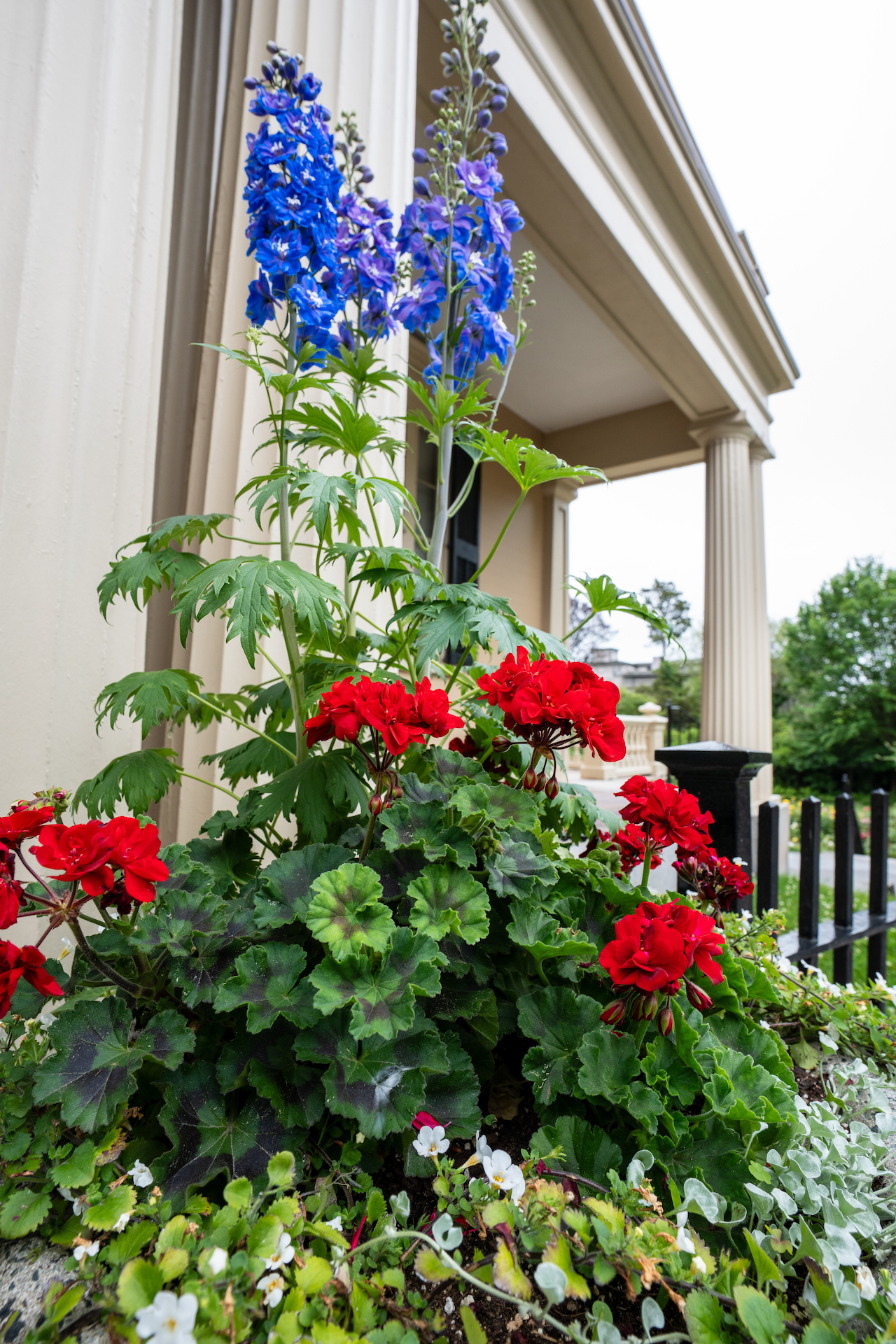 rotch jones duff house and garden museum new bedford ma
