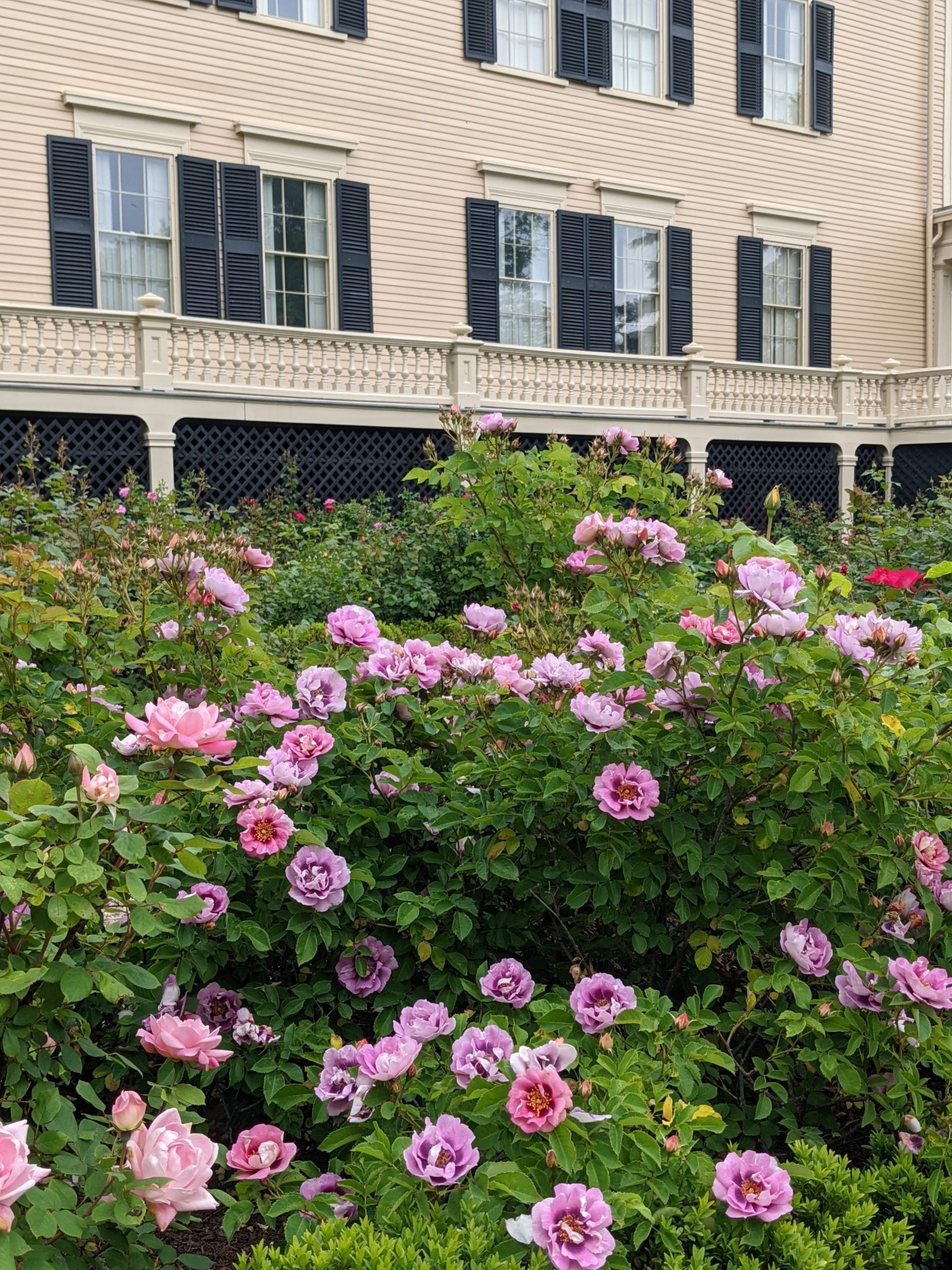 rotch jones duff house and garden museum new bedford ma